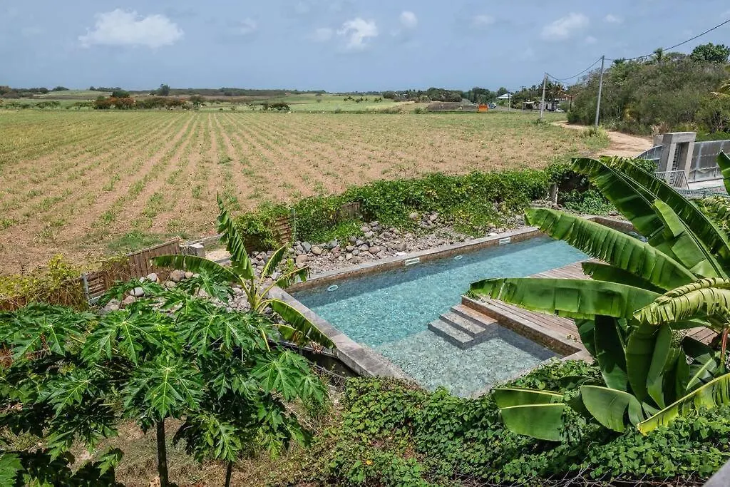 La Mer De Canne - Petit Canal Lejlighedshotel Guadeloupe